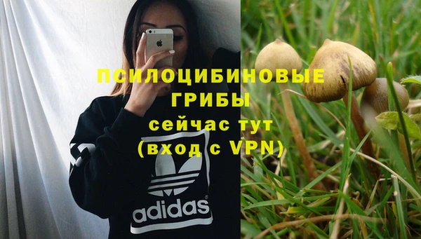 2c-b Нефтегорск