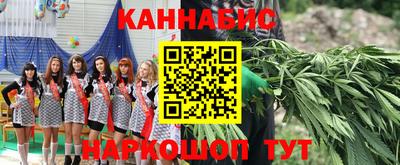 сатива Гусиноозёрск