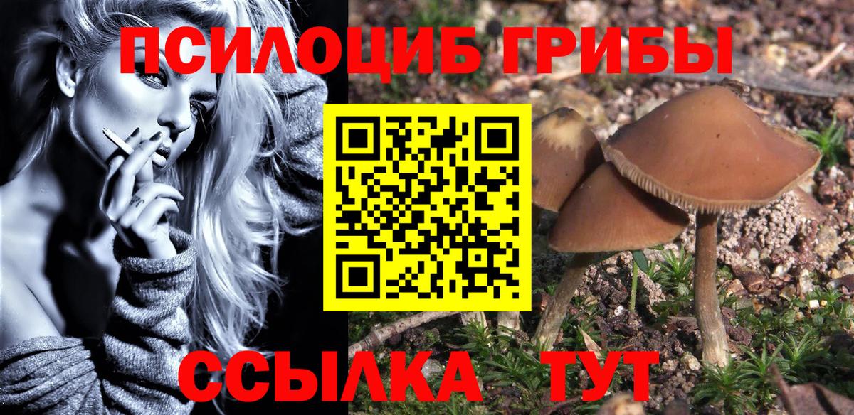 как найти закладки  Псилоцибиновые грибы мицелий  Протвино  Вход с VPN  Псилоцибиновые грибы Magic Shrooms 