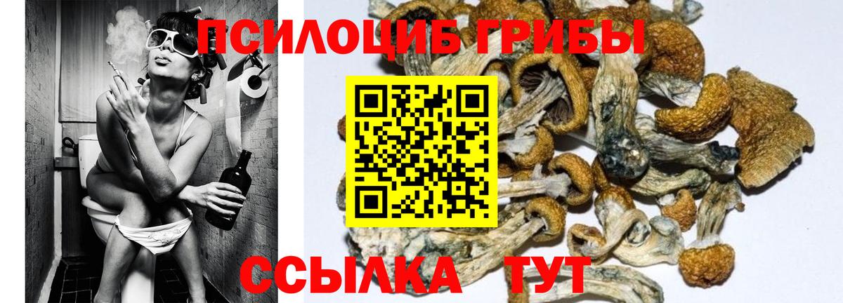 Галлюциногенные грибы Cubensis Протвино